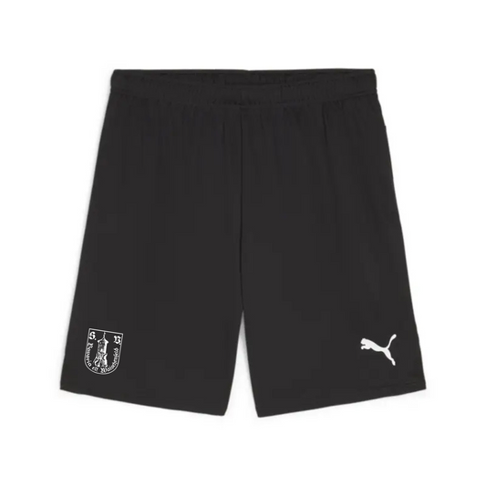 Puma teamGOAL Shorts