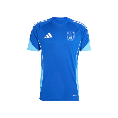 Adidas Tiro 25 Trainingsshirt "Bavaria" Herren